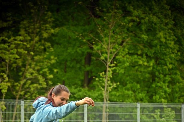 Essential Tips for Training Your Dog at Home: A Beginner's Guide