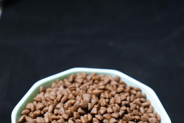 Discover the Best Fruits and Vegetables Safe for Dogs