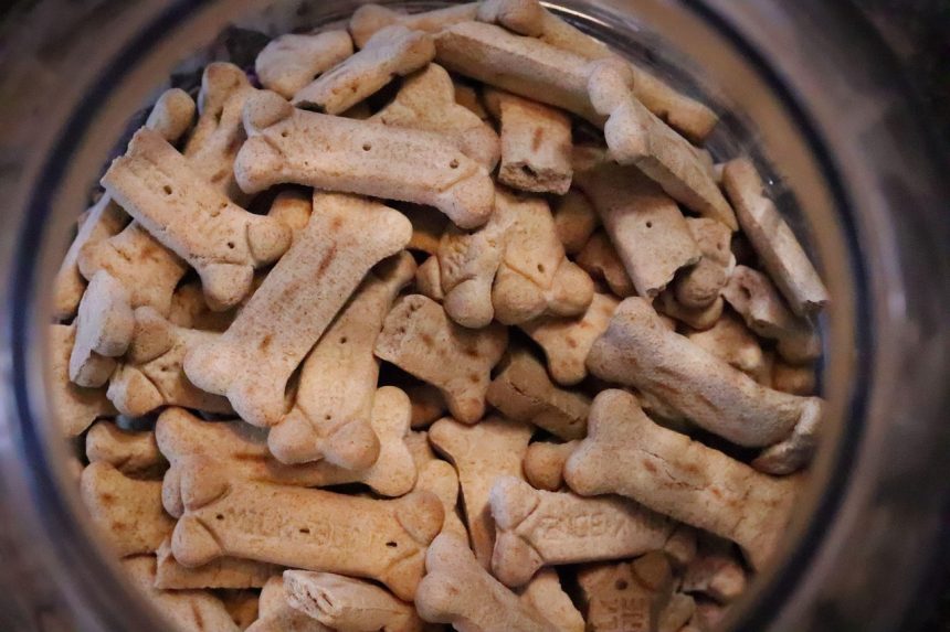 Exploring Grain Free Dog Food: Pros and Cons