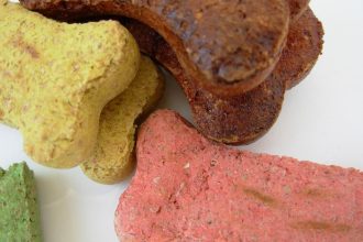 Is Rice Good for Dogs Daily? Exploring the Benefits and Safe Quantities for Your Pet